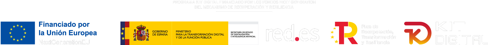 dafy_agencia_Kit_Digital_Madrid_Logo-digitalizadores-2024-blanco-transparente